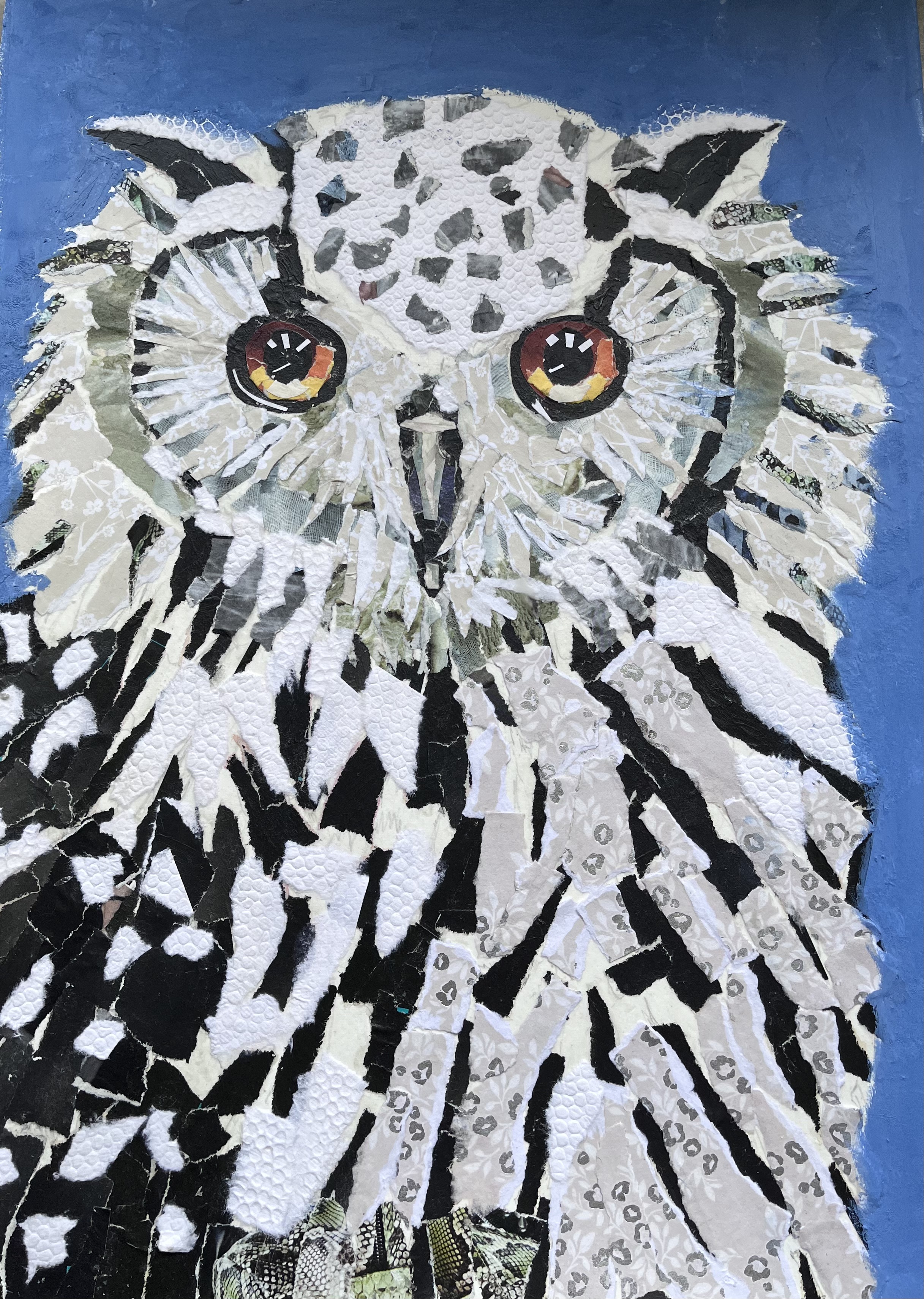 Collaged Owl
