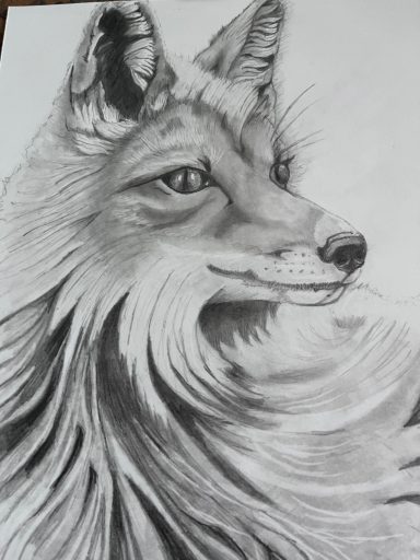 Fox Fox