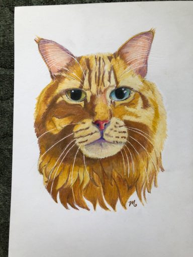 Ginger Cat Ginger Cat commission