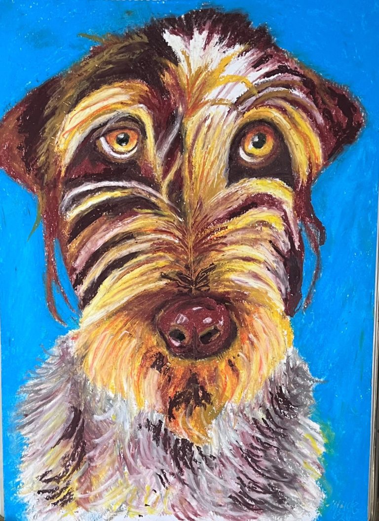 Tilly Dog portrait in oil pastels